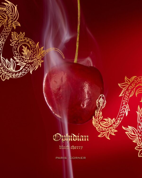 Black Cherry Ophidian Paris Corner - Image 3