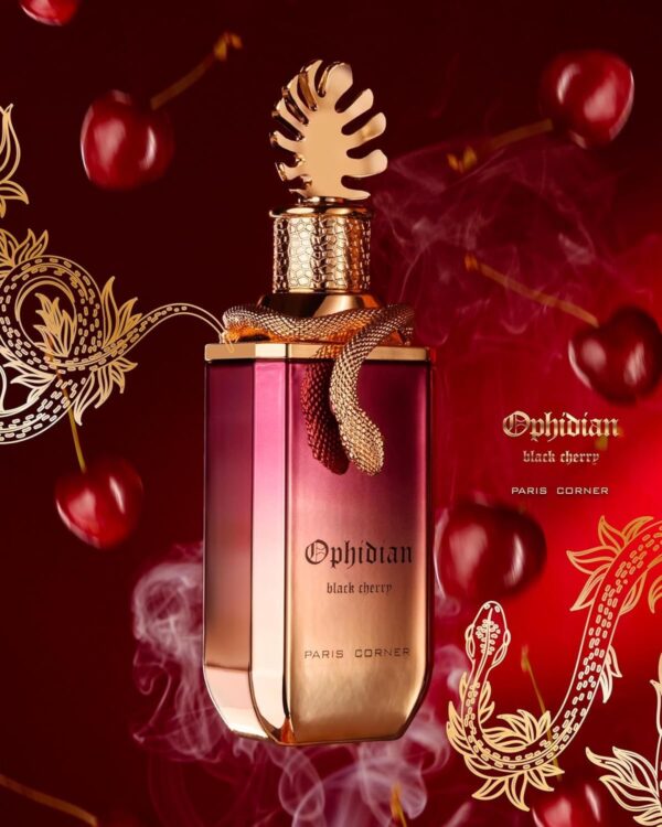 Black Cherry Ophidian Paris Corner - Image 2